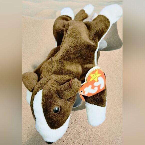 TY "BRUNO" Bull Terrier Dog with TAG AS COLLECTABLE! VINTAGE 1997 PERFECT! - Picture 6 of 11